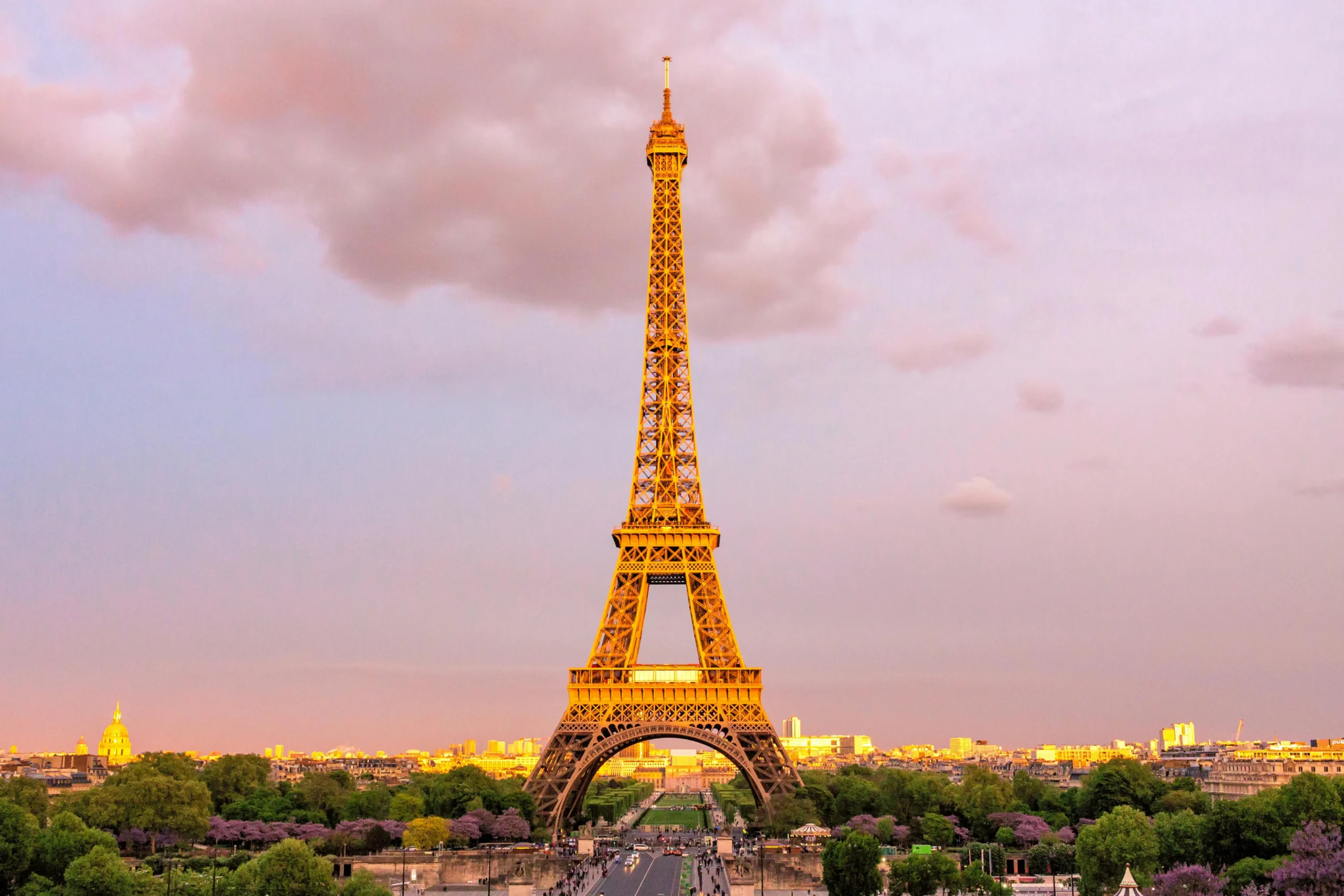 French Course